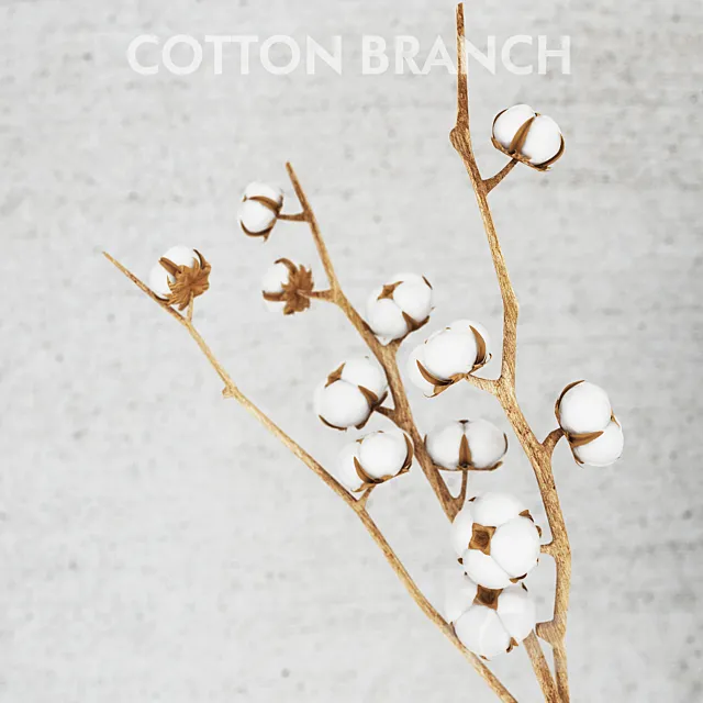 cotton threads 3D Model cotton threads 3D Model