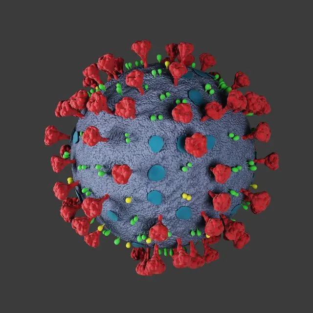 Covid-19 Coronavirus 3D Model Covid-19 Coronavirus 3D Model