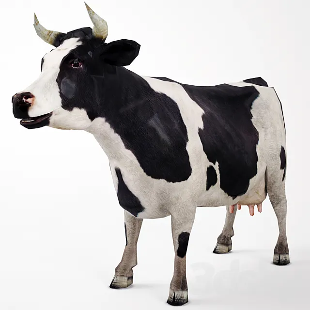 Cow 3D Model Cow 3D Model