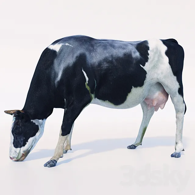 Cow 3DModel