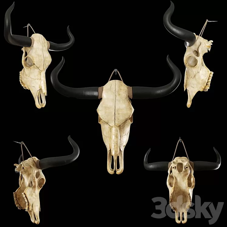 Cow skull 3D Model