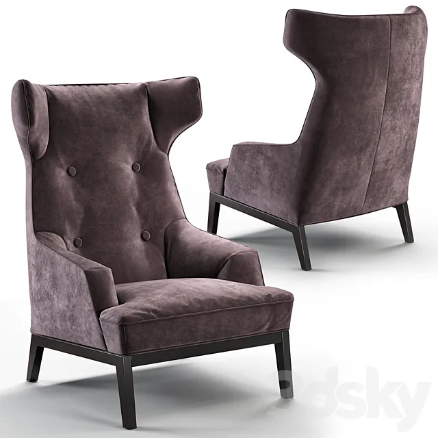 Cozy winghair 3D Model