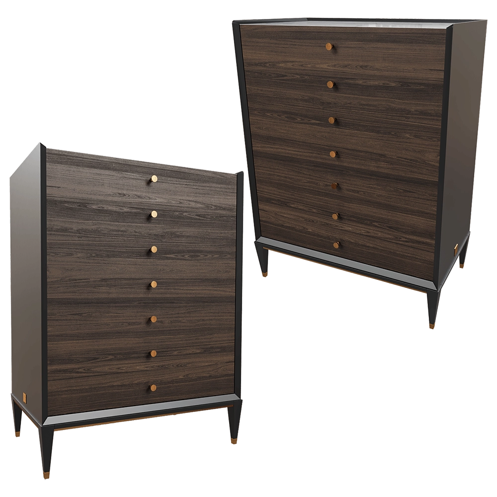CPRN HOMOOD – Chest of drawers E209 3D Model