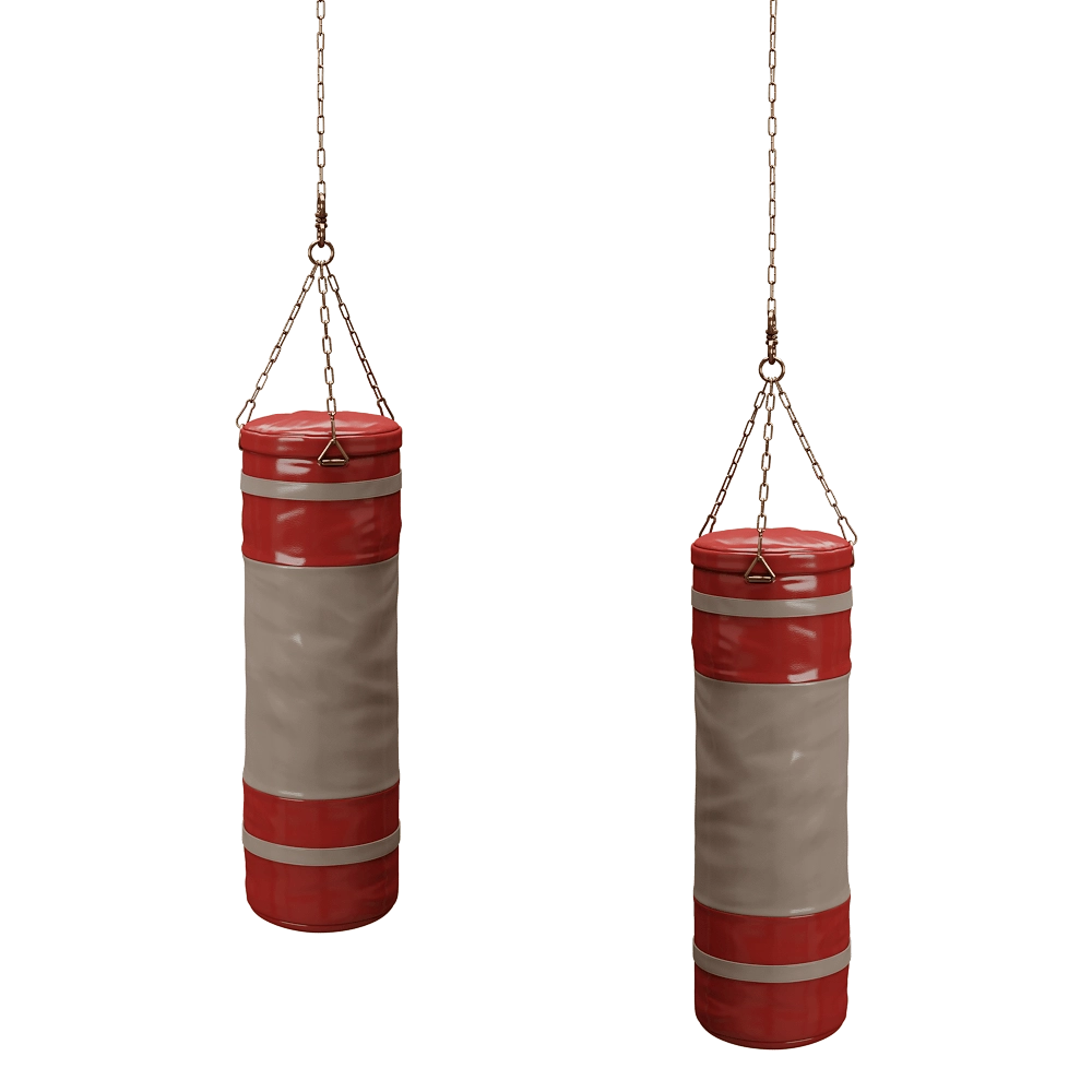 CPRN HOMOOD – Punching bag 3D Model