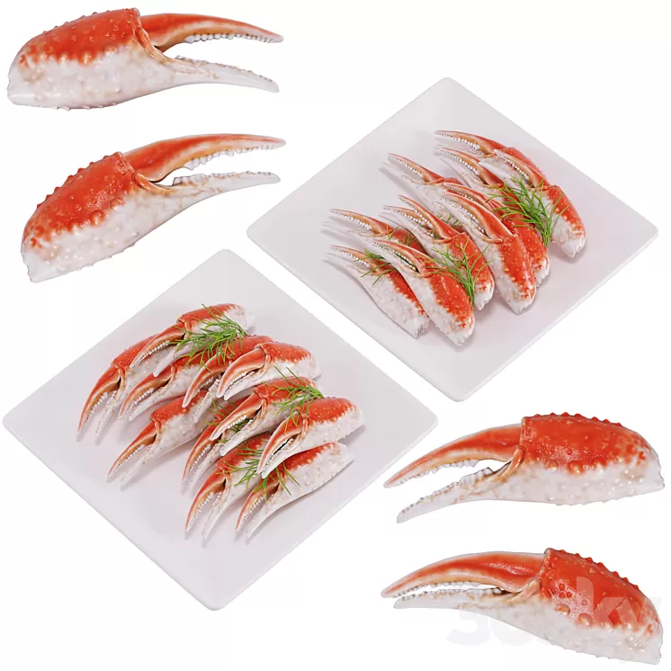 Crab dish 3D Model