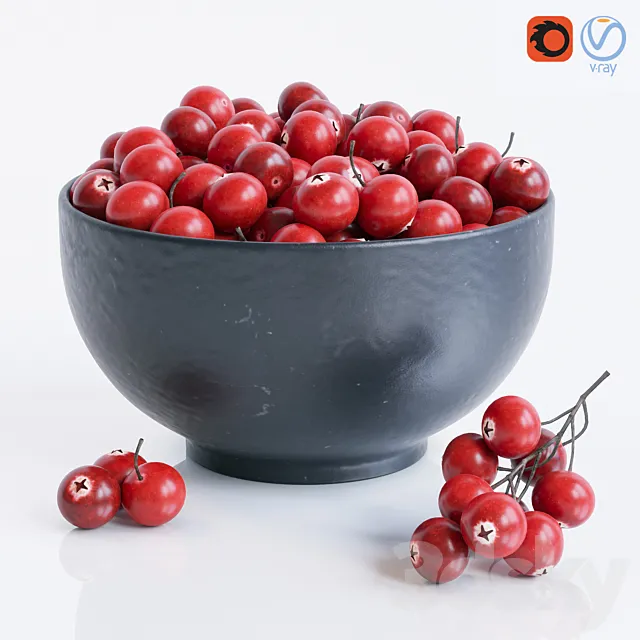 Cranberry 3DModel