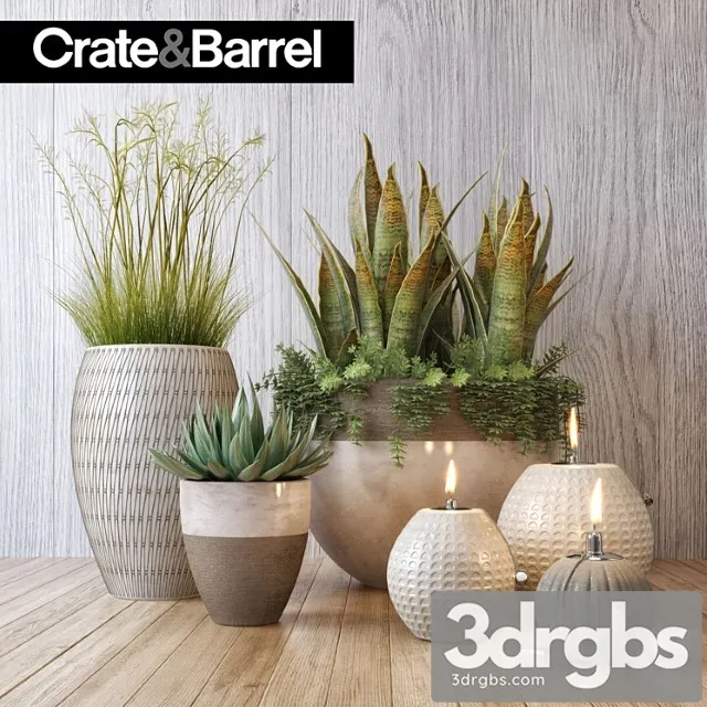 Crate Barrel Plant Set 3D Model Download