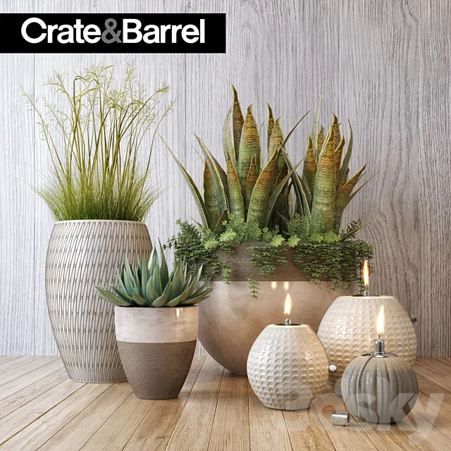 Crate&Barrel plant set 3DModel Crate&Barrel plant set 3DModel