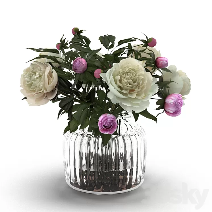 Cream Peonies in ribbed glass vase 3D Model Cream Peonies in ribbed glass vase 3D Model