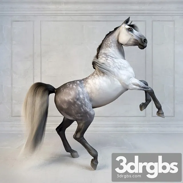 Creature Andalusian stallion. the spanish horse. 3D Model Download