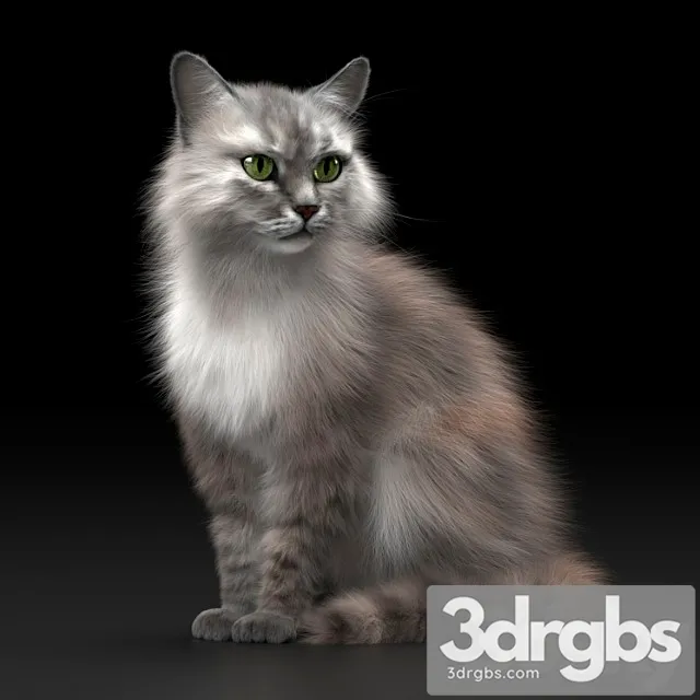 Creature Cat 3 3D Model Download