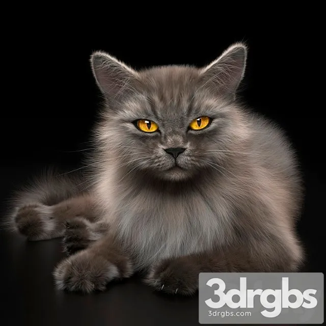 Creature Cat 4 vray 3D Model Download