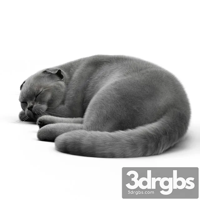 Creature Cat 6 corona 3D Model Download