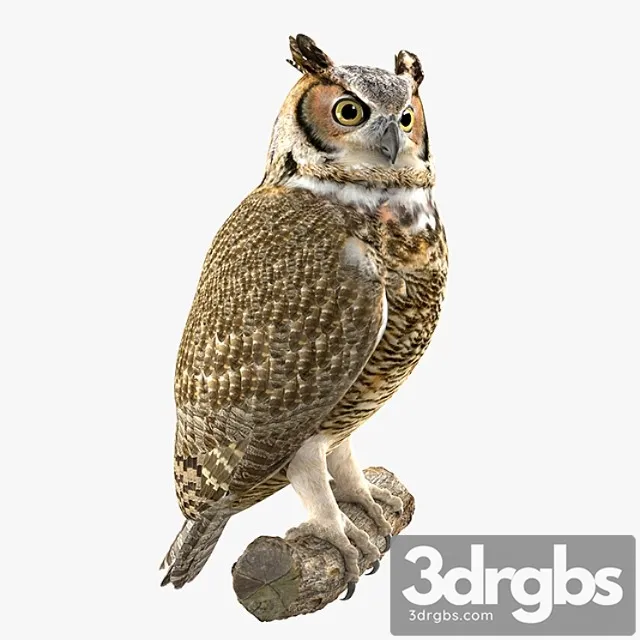 Creature Owl 3D Model Download