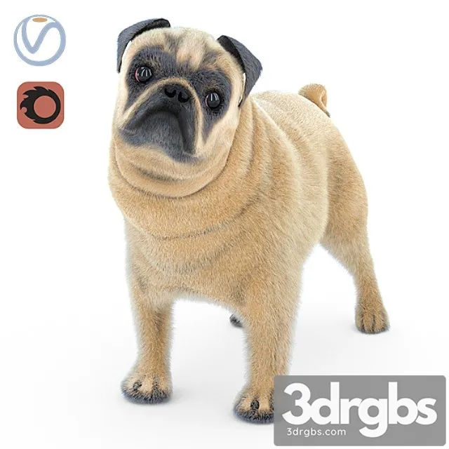 Creature Pug 2 3D Model Download
