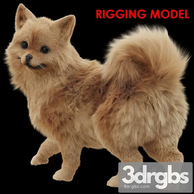 Creature Spitz 3D Model Download