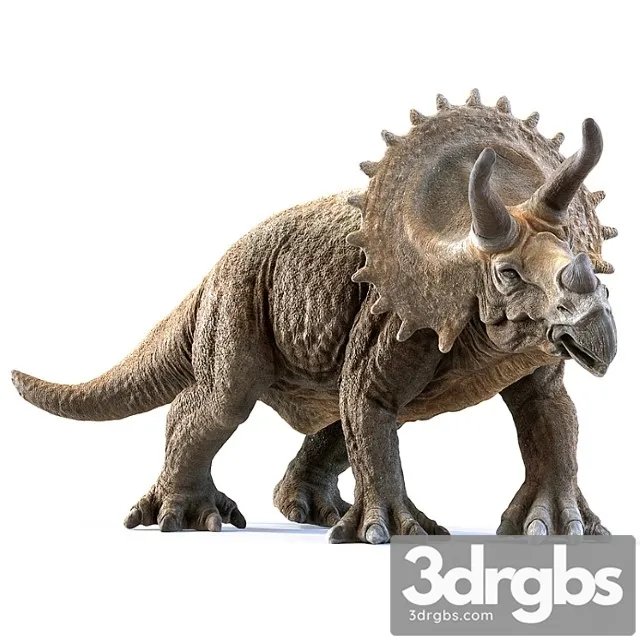 Creature Triceratops 3D Model Download
