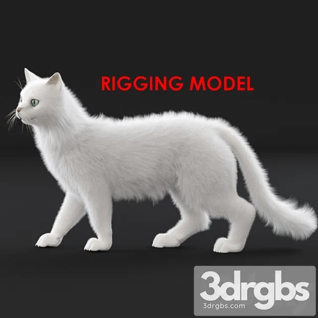 Creature White cat (rig) 3D Model Download