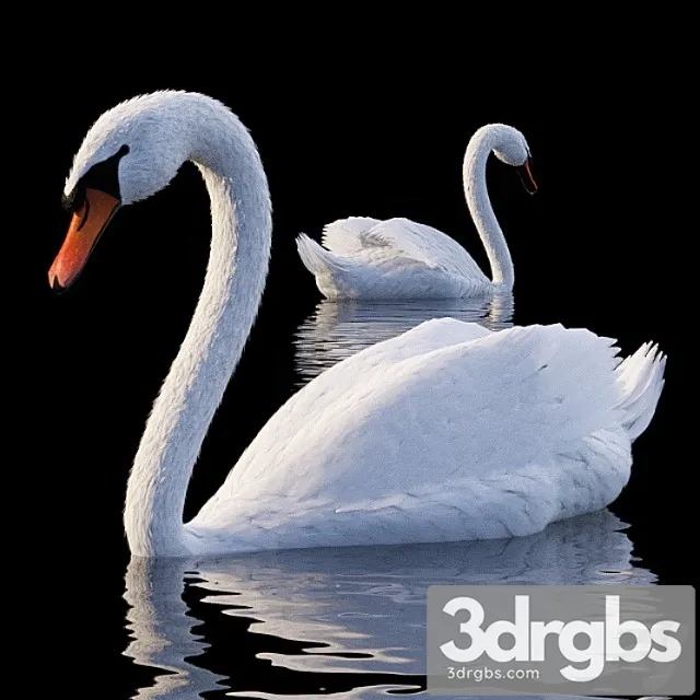 Creature White swan 3D Model Download