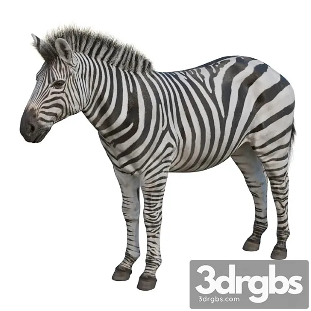 Creature Zebra 3D Model Download