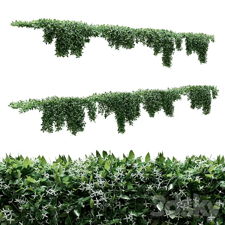 Creeper – Clematis Glycinoides – 8 Modular Pieces 3D Model Creeper – Clematis Glycinoides – 8 Modular Pieces 3D Model