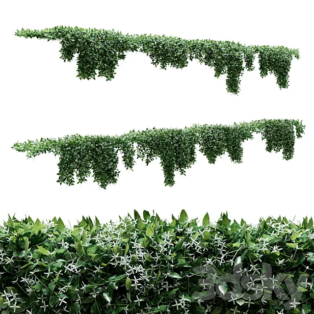Creeper – Clematis Glycinoides – 8 Modular Pieces 3D Model Creeper – Clematis Glycinoides – 8 Modular Pieces 3D Model
