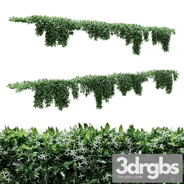 Creeper – clematis glycinoides – 8 modular pieces Creeper – clematis glycinoides – 8 modular pieces