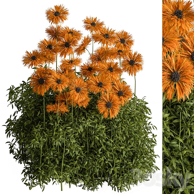 Creeper Yellow Flower – Bush Set 93 3D Model Free Download Creeper Yellow Flower – Bush Set 93 3D Model Free Download