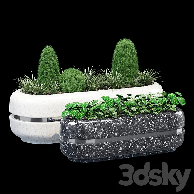 Cristina 3D Model Cristina 3D Model