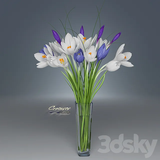 Crocus 3D Model Crocus 3D Model