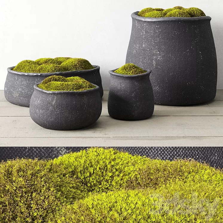 Crosshatch concrete vessel collection with moss 3D Model
