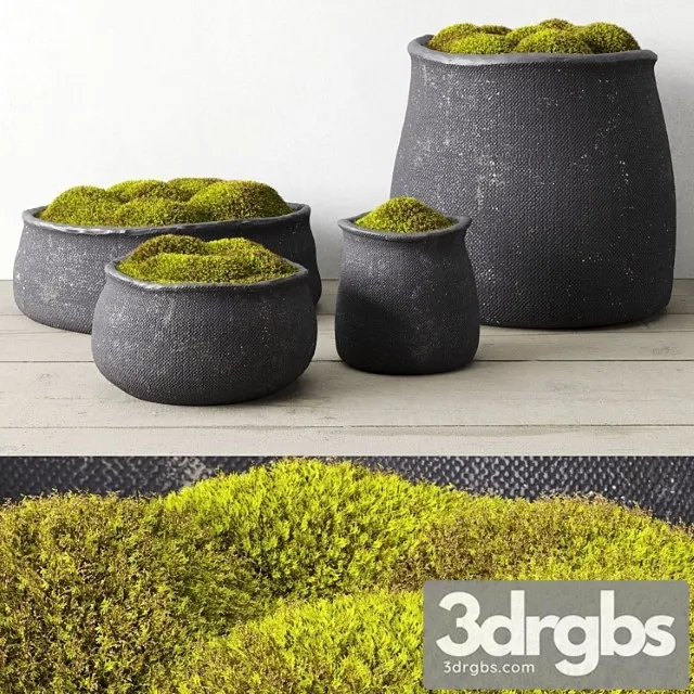 Crosshatch concrete vessel collection with moss Crosshatch concrete vessel collection with moss