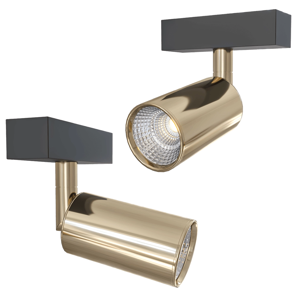 CRYSTAL LUX – Track light CLT 0.33 009 12W GO 4000K 3D Model