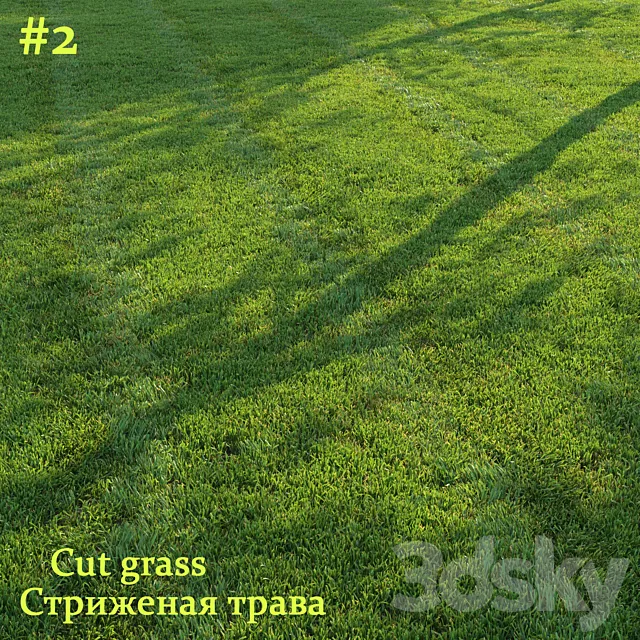 Cut grass #2 3D Model Cut grass #2 3D Model