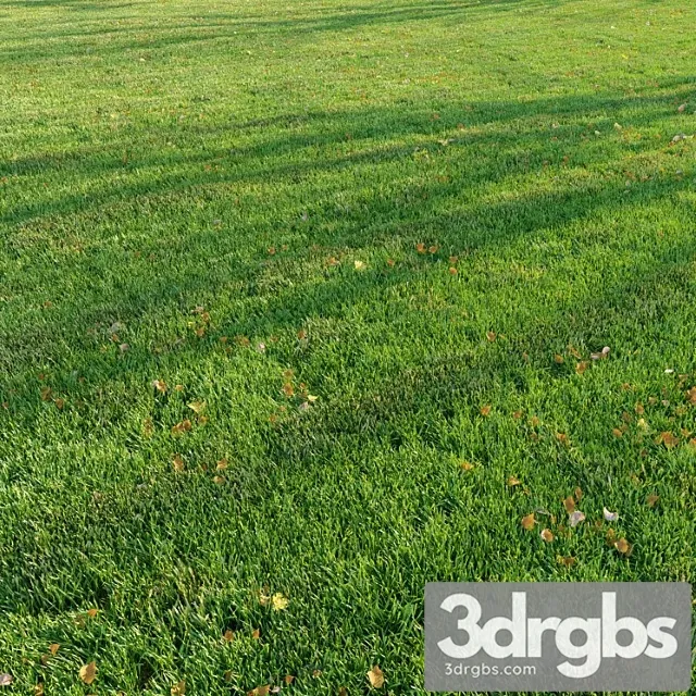 Cut Grass 3D Model Download Cut Grass 3D Model Download
