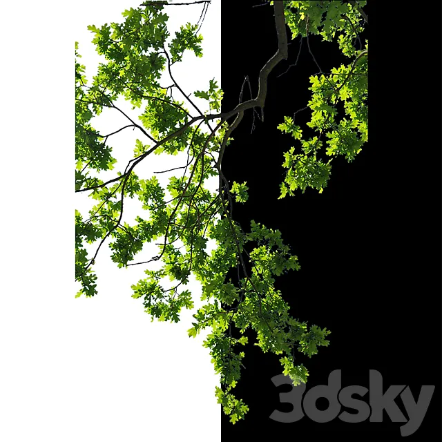 Cut out trees 3D Model Cut out trees 3D Model