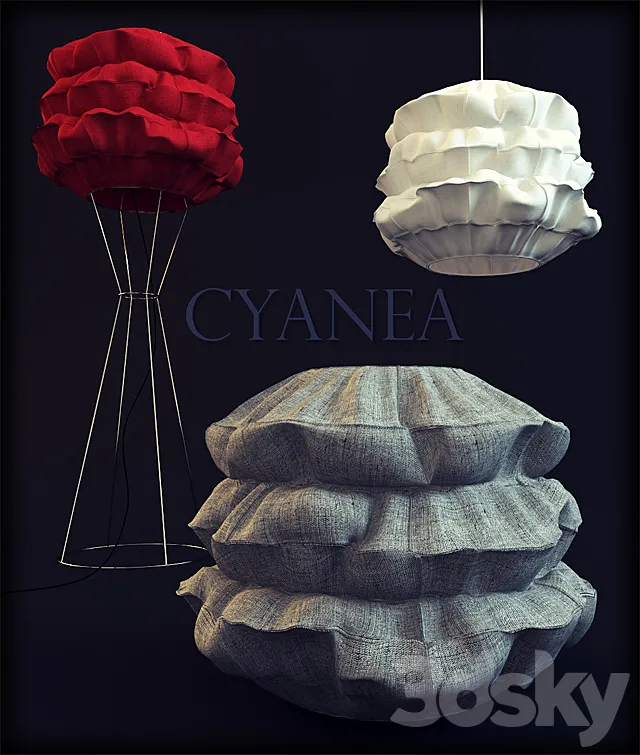 Cyanea 3DModel Cyanea 3DModel