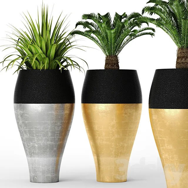 Cycas set pot flowerpot luxury golden cycas interior 3D Model Cycas set pot flowerpot luxury golden cycas interior 3D Model