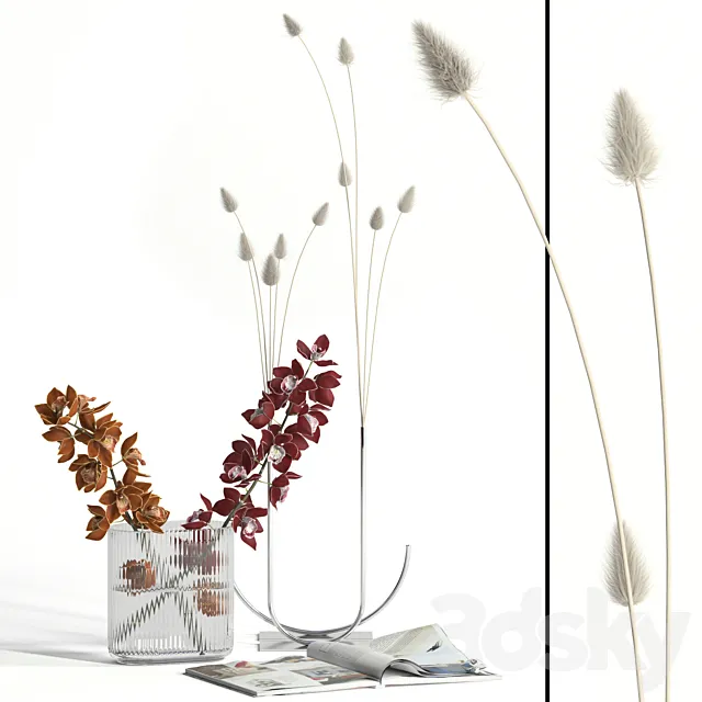 Cymbidium & lagurus decor 3D Model