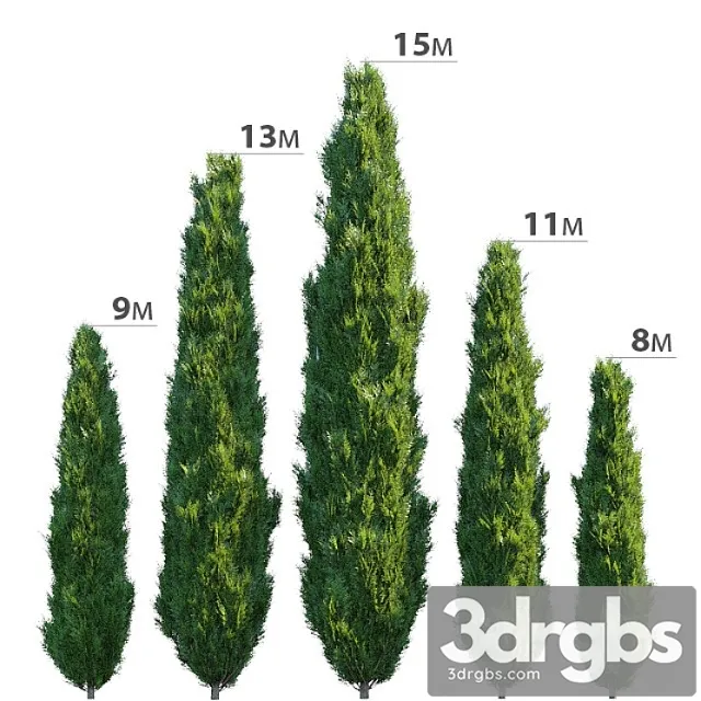 Cypress 3D Model Download Cypress 3D Model Download