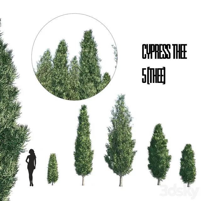 cypress thee set 1 3D Model