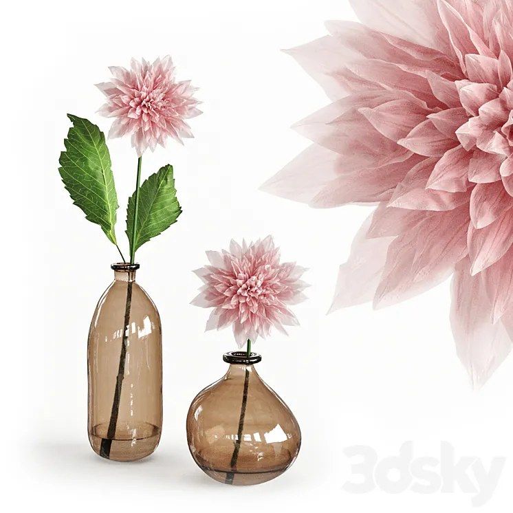 Dahlia in a glass vase 3D Model Free Download
