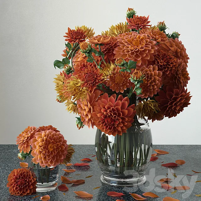 Dahlias 3DModel Dahlias 3DModel