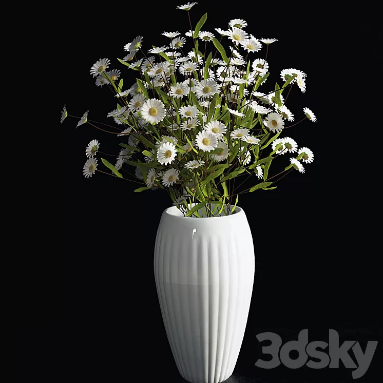 Daisies 3D Model Daisies 3D Model