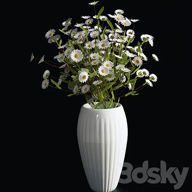 Daisies 3DModel Daisies 3DModel