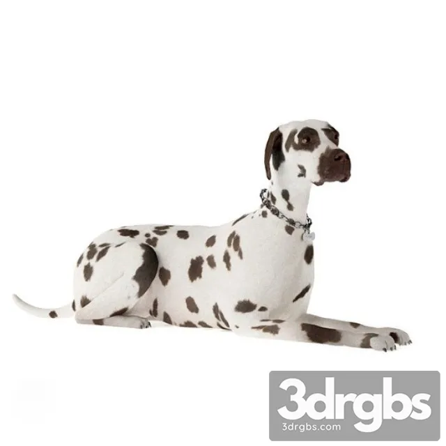 Dalmatian 3D Model Download