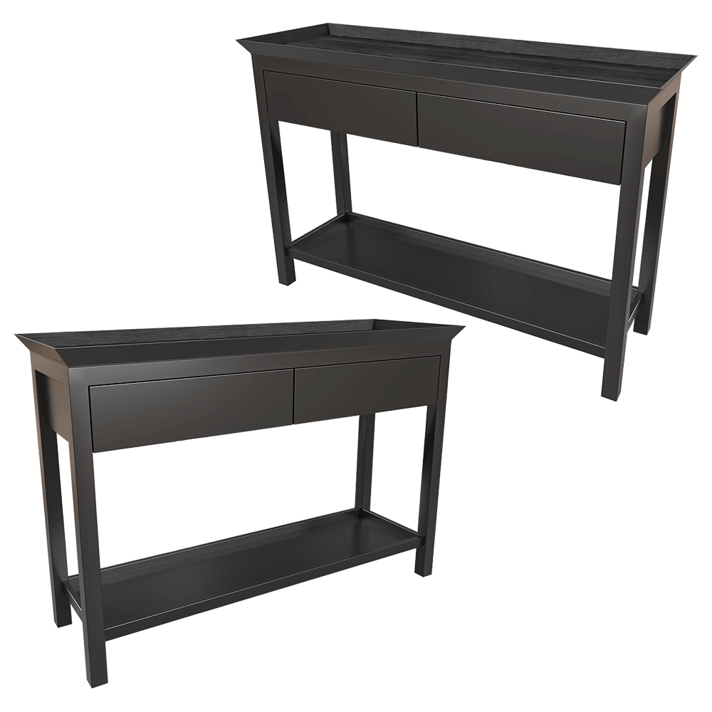 Dantone Home – Console Newport 2 drawer 3D Model