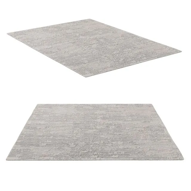 DASANI HANDWOVEN RUG 3D Model