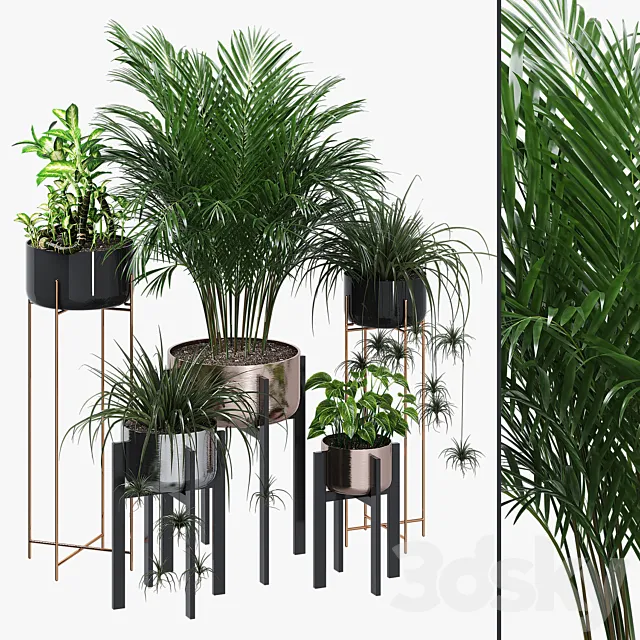 Dash edge 3D Model Dash edge 3D Model