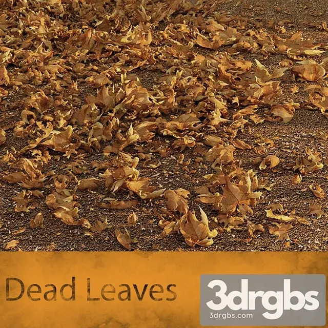 Dead Leaves 3D Model Download Dead Leaves 3D Model Download